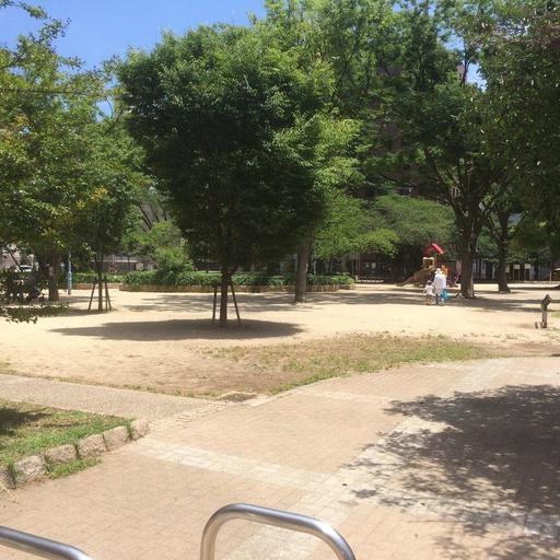 堀江公園 テレビカメラが入る事もチラホラ!春には花見客多数!