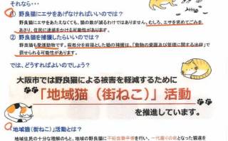 地域猫（街ねこ）活動とは？